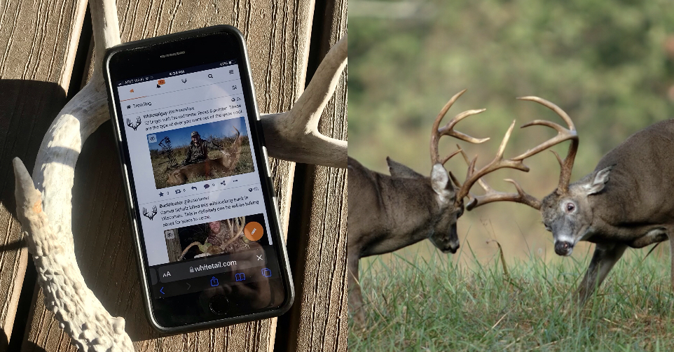 Whitetail.com Celebrates the Hunt Through Dedicated Hunting Social Media